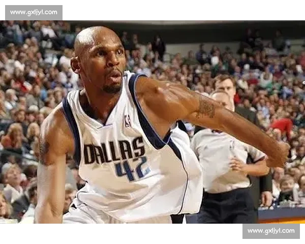 狼王啸与冠军鼎：加内特的热血征程