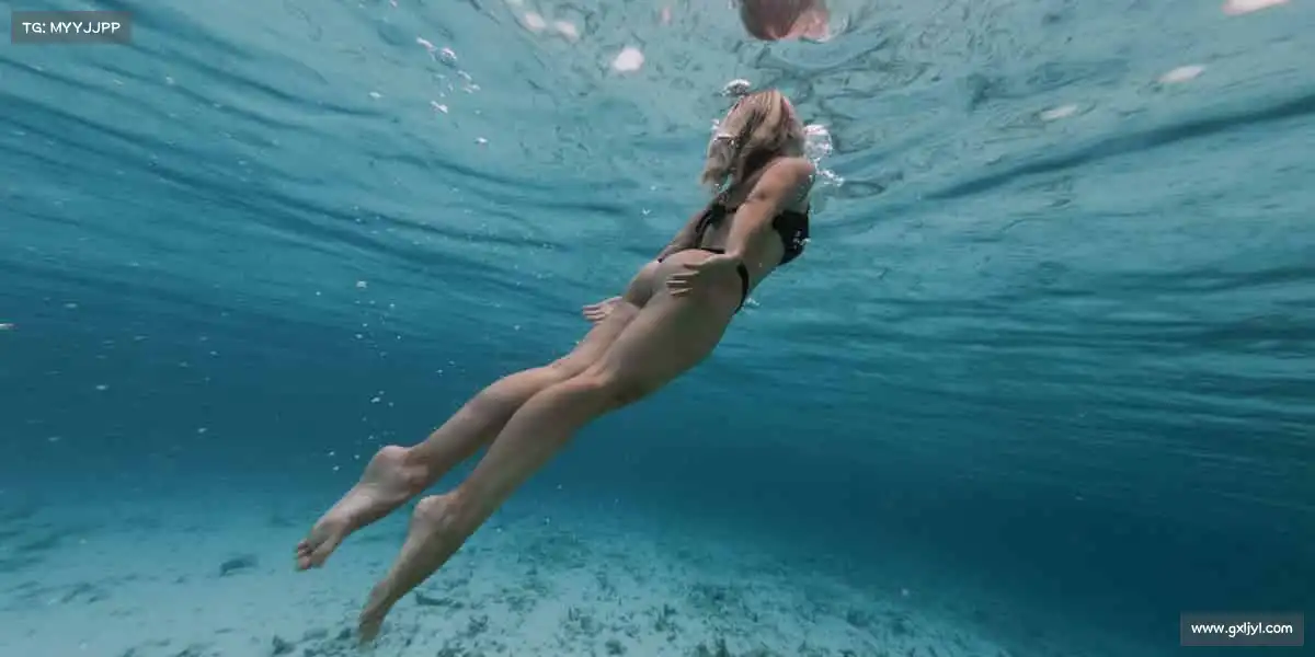 行业领先的理由